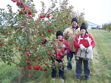 picking